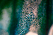 Load image into Gallery viewer, Stomatal Poetry