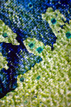 Load image into Gallery viewer, Epidermal Topography