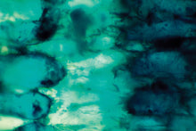 Load image into Gallery viewer, Palm Seed Cell Print: Deep Blue II

