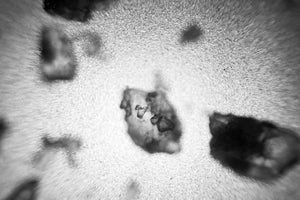 NaCl Crystals Print