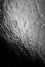 Load image into Gallery viewer, Epidermal Folds
