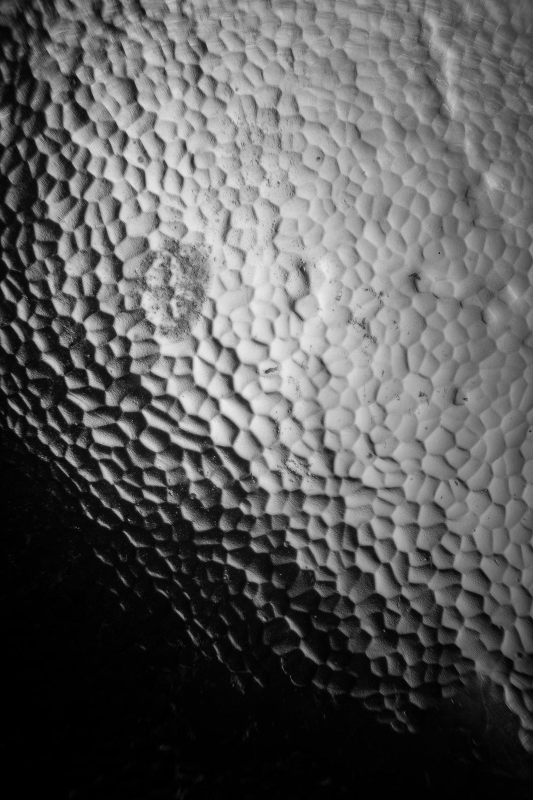 Epidermal Folds
